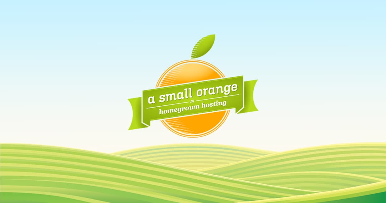 A Small Orange Full Review: All You Need to Know