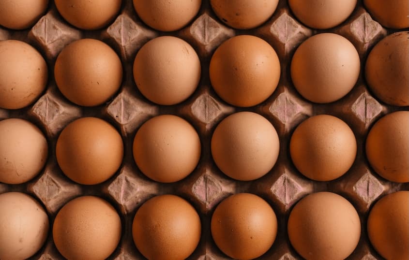 Salmonella Fears Spark Recall of Over 1.7M Eggs Nationwide