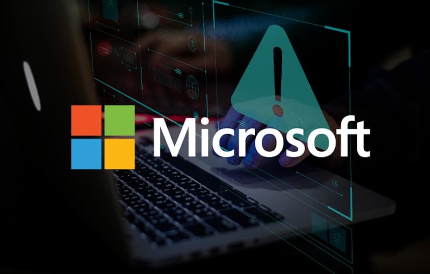 Hackers Use Microsoft Flaw to Hit Government Servers
