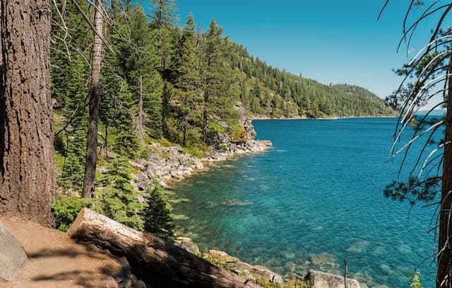 The Plague's Return in California: What This Says About Such Ancient Diseases