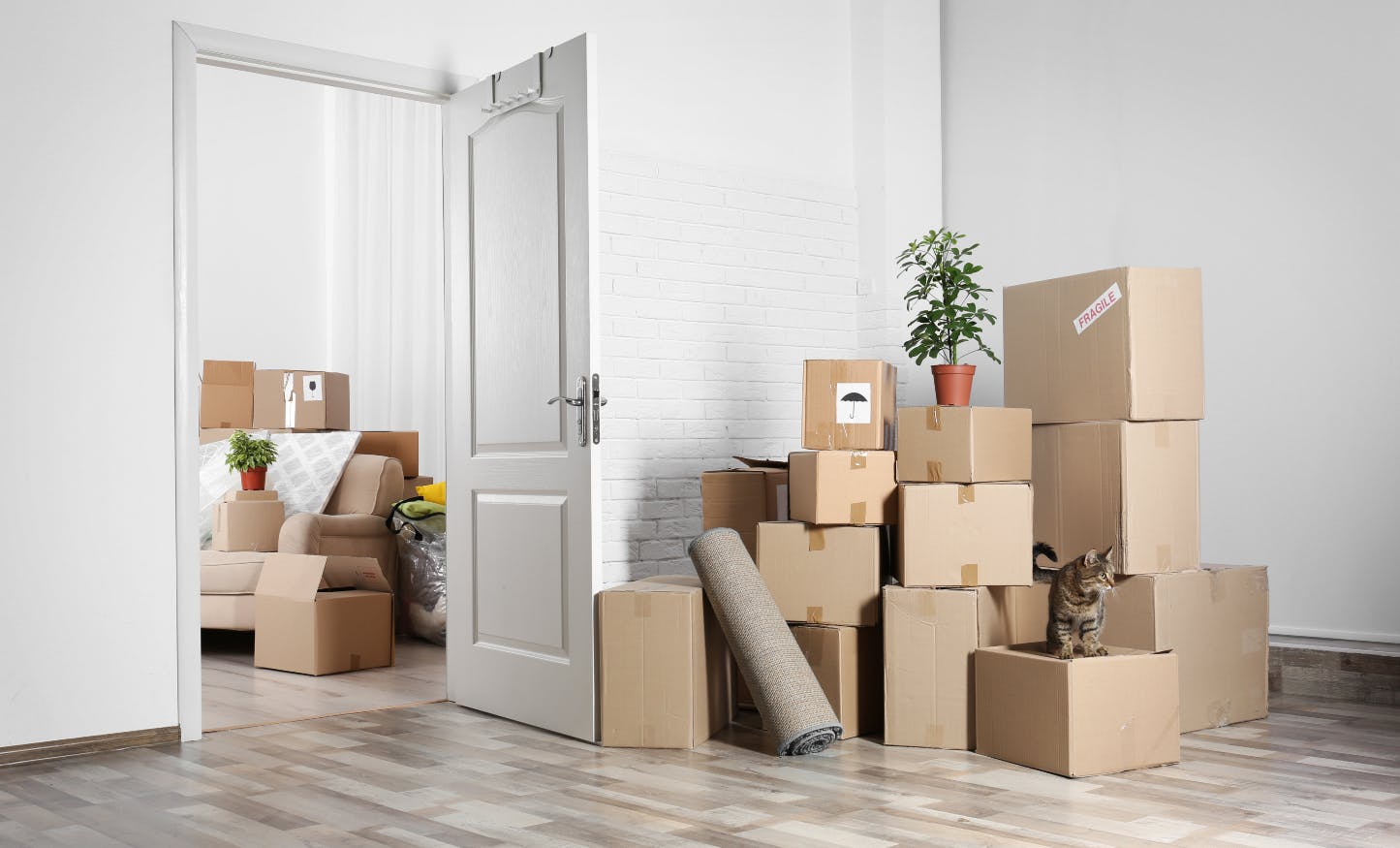 How to Find The Best Moving Company For You