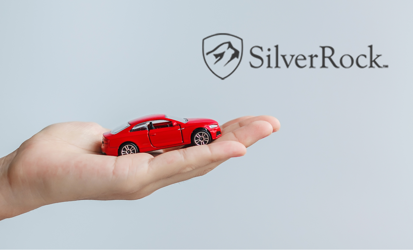SilverRock Review: Benefits, Process, and Plans!