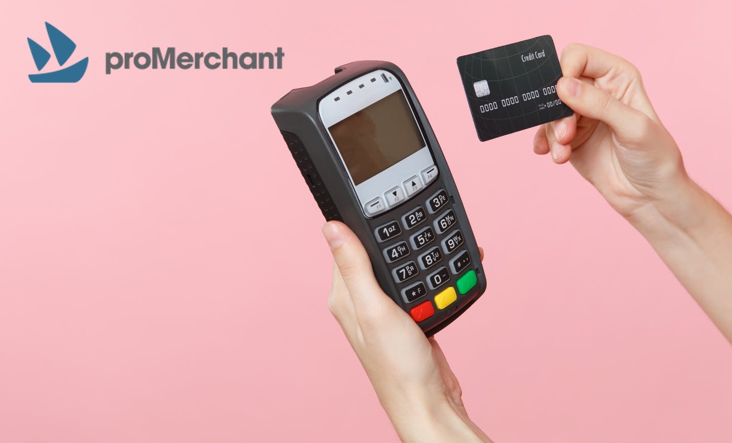 ProMerchant: Transforming Payments For Expanding Businesses